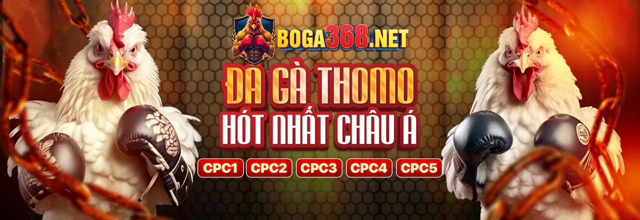 Hình ảnh chính của blog acb8 login với các bài viết mới nhất